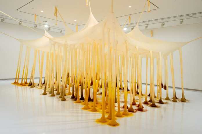 Ernesto-Neto-Just-like-drops-in-time-nothing-textile-spices.-2002-©AAG-Toi-o-Tamaki-2016.jpg